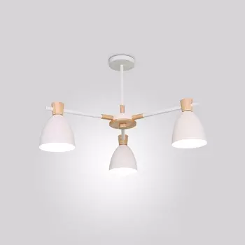 Потолочная люстра на штанге LED Lu Carte LC-11-0583