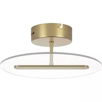 Потолочная светодиодная люстра на штанге Lightstar Acrile 738033