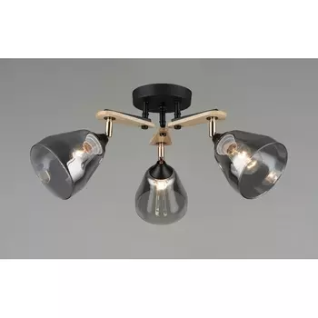 Потолочная люстра на штанге Мелодия Света 000060407