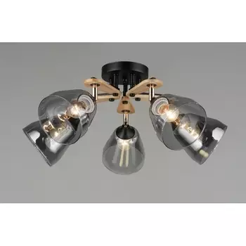 Потолочная люстра на штанге Мелодия Света 000060408