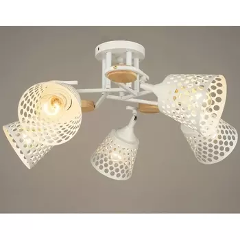 Потолочная люстра на штанге Мелодия Света SL1N P5690-5 WT 000029362