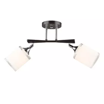 Потолочная люстра на штанге Мелодия Света SL1N SL9079-2 CF+CR 000066028