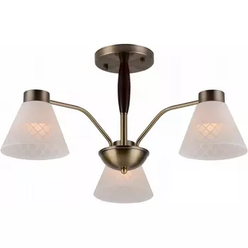 Потолочная люстра на штанге Reluce 00536-0.3-03