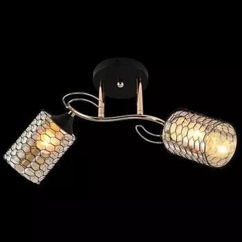 Потолочная люстра на штанге Reluce 01309-0.3-02 BK+FGD