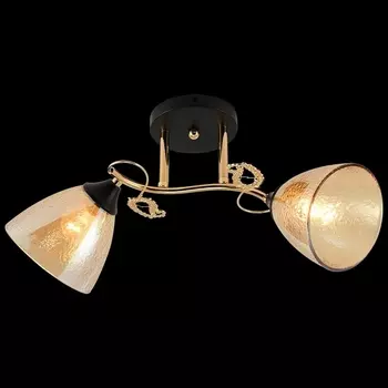 Потолочная люстра на штанге Reluce 01321-0.3-02 FGD+BK