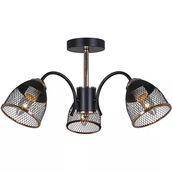 Потолочная люстра на штанге Reluce 01505-0.3-03 BK+FGD