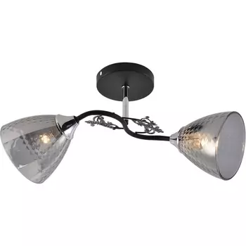 Потолочная люстра на штанге Reluce 01525-0.3-02 BK+CR