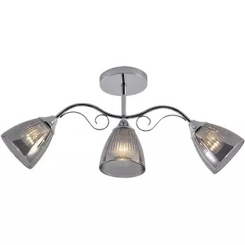 Потолочная люстра на штанге Reluce 01542-0.3-03 CR