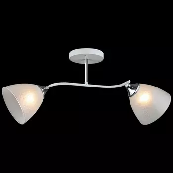 Потолочная люстра на штанге Reluce 01706-0.3-02