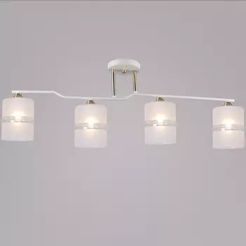 Потолочная люстра на штанге Reluce 02283-0.3-04 WT+FGD