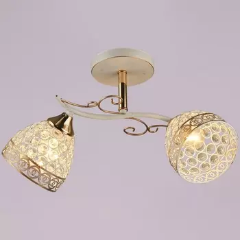 Потолочная люстра на штанге Reluce 03201-0.3-02