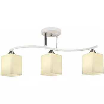 Потолочная люстра на штанге Reluce 04069-0.3-03