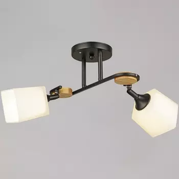 Потолочная люстра на штанге Reluce 04217-0.3-02 BK