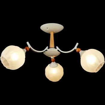 Потолочная люстра на штанге Reluce 04511-0.3-03