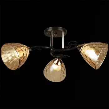 Потолочная люстра на штанге Reluce 04522-0.3-03