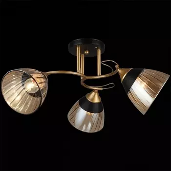 Потолочная люстра на штанге Reluce 04619-0.3-03