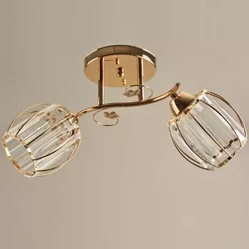 Потолочная люстра на штанге Reluce 04628-0.3-02 FG