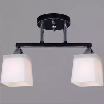 Потолочная люстра на штанге Reluce 05017-0.3-02 BK+CR