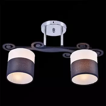 Потолочная люстра на штанге Reluce 05019-0.3-02B BK+CR