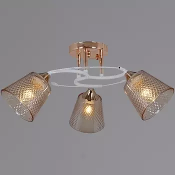 Потолочная люстра на штанге Reluce 06003-0.3-03 FG+WT