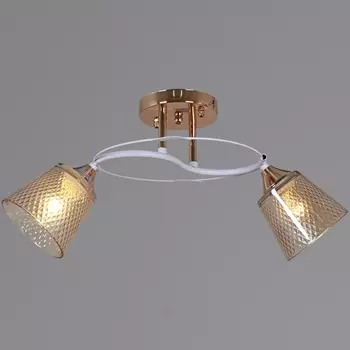 Потолочная люстра на штанге Reluce 06003-0.3-02 FG+WT