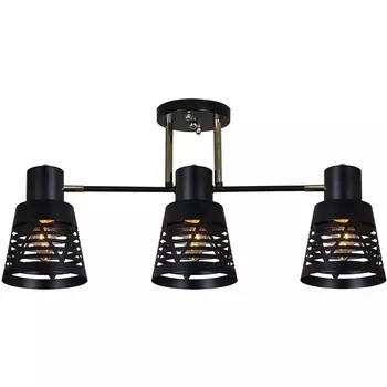 Потолочная люстра на штанге Reluce 06074-3.3-03 BK+FG