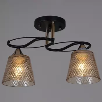 Потолочная люстра на штанге Reluce 06087-0.3-02 BK+FG