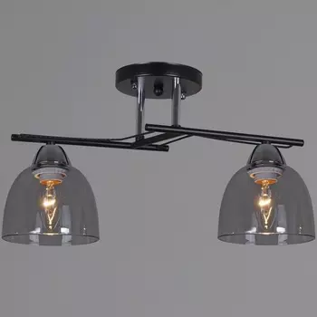 Потолочная люстра на штанге Reluce 06098-0.3-02 BK+CR