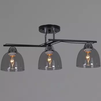 Потолочная люстра на штанге Reluce 06098-0.3-03 BK+CR