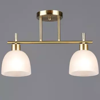 Потолочная люстра на штанге Reluce 06417-0.3-02 COP