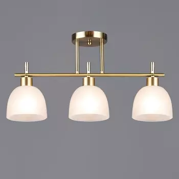 Потолочная люстра на штанге Reluce 06417-0.3-03 COP