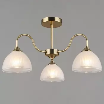 Потолочная люстра на штанге Reluce 06591-0.3-03 COP