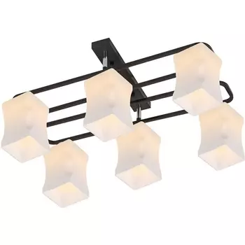 Потолочная люстра на штанге Reluce 06595-0.3-06