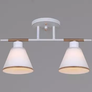 Потолочная люстра на штанге Reluce 07594-0.3-02 WG