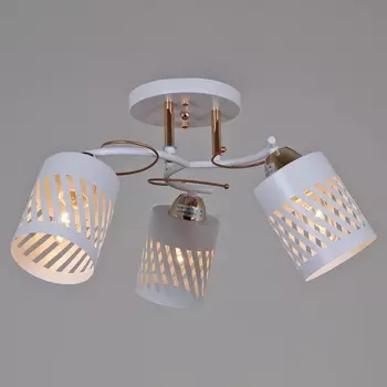 Потолочная люстра на штанге Reluce 08235-0.3-03 WT+FG