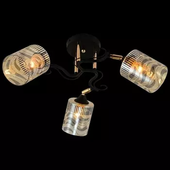 Потолочная люстра на штанге Reluce 11313-0.3-03 BK+FGD