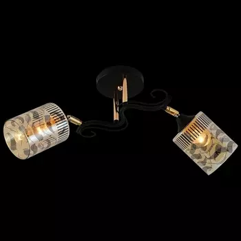 Потолочная люстра на штанге Reluce 11313-0.3-02 BK+FGD