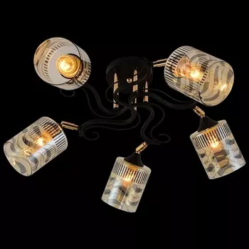 Потолочная люстра на штанге Reluce 11313-0.3-05 BK+FGD