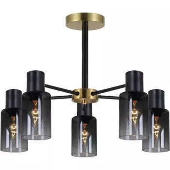 Потолочная люстра на штанге Reluce 74677-0.3-05