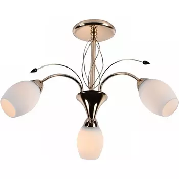 Потолочная люстра на штанге Reluce 83069-0.3-03 FGD