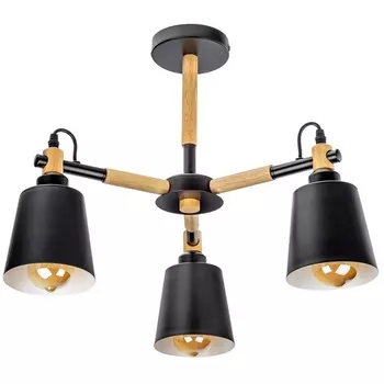 Потолочная люстра на штанге Ritter Volante 52447 2