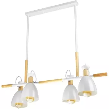 Потолочная люстра на штанге Ritter Volante 52501 1