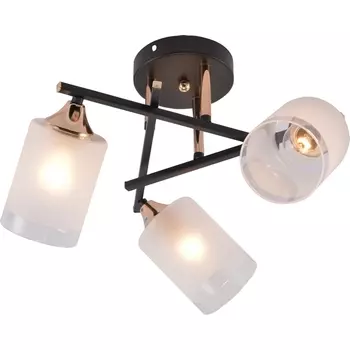 Потолочная люстра на штанге Rivoli Fiona 3163-303