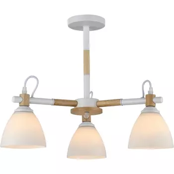 Потолочная люстра на штанге Rivoli Louise 9175-303