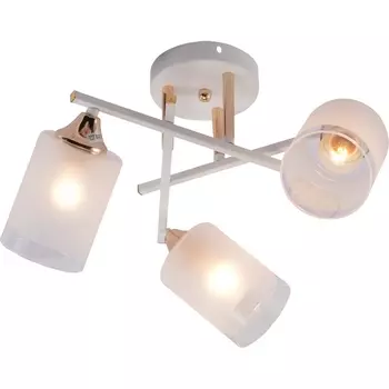 Потолочная люстра на штанге Rivoli Tammy 3162-303