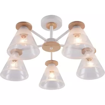 Потолочная люстра на штанге Rivoli Theothila 9177-305