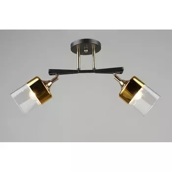 Потолочная люстра на штанге SL4350-2 CF+GD Мелодия Света SL1N 000065851