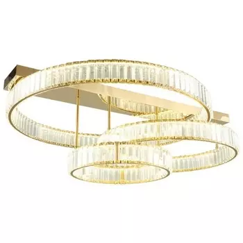 Потолочная люстра на штанге светодиодная Aployt Oriann APL.076.03.140 кольцо