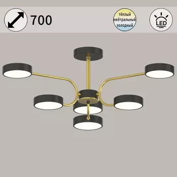 Потолочная люстра на штанге светодиодная Reluce 03325-0.3-06 BK+COPPER