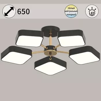 Потолочная люстра на штанге светодиодная Reluce 03360-0.3-05 BK+FGD